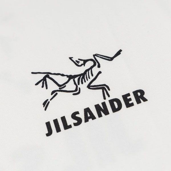 希少 ArcTeryx X ジルサンダー スーパーコピー Tシャツ Jir16953